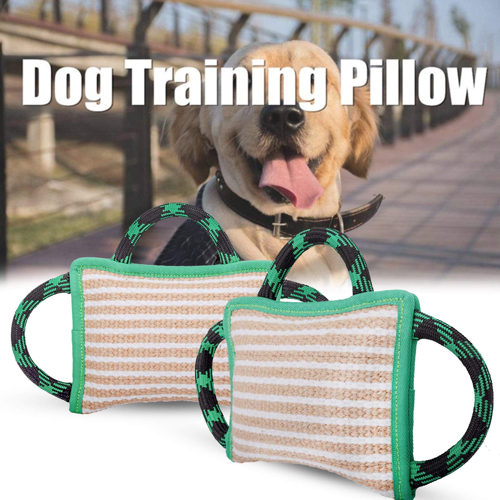 ToLanbbt training toy supports safe play and focus during sessions.