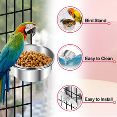 ToLanbbt sturdy clamps keep cages stable, preventing spills during feeding.
