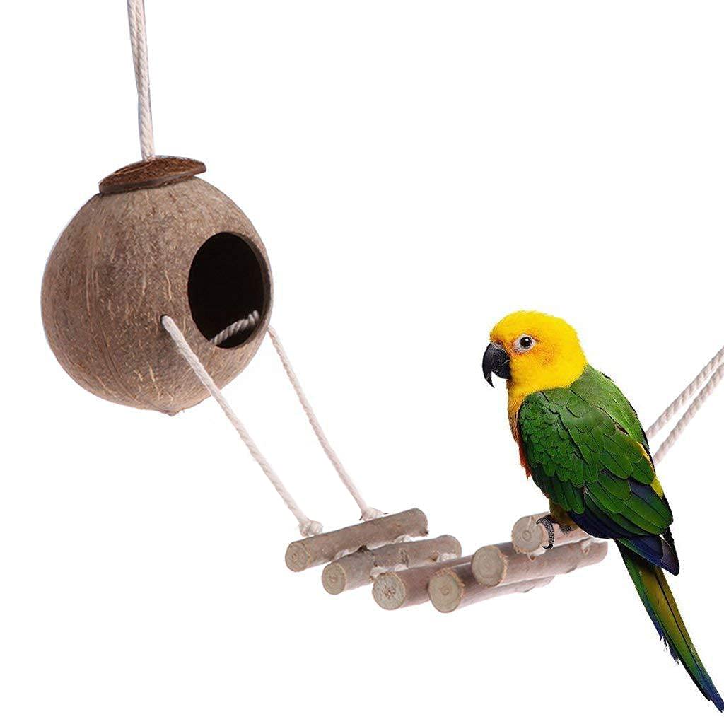 Tolmiow coconut hideaway with ladder for climbing and resting