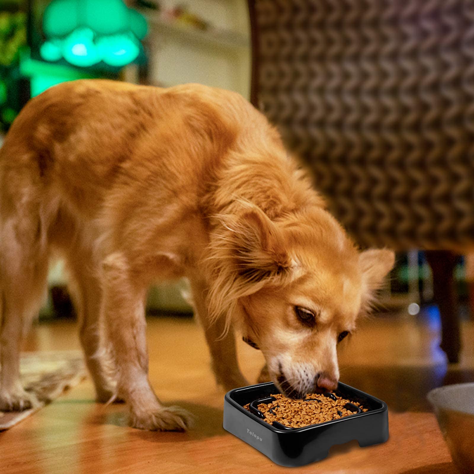 Tolopu non-toxic ABS material supports safe, durable use and easy cleaning