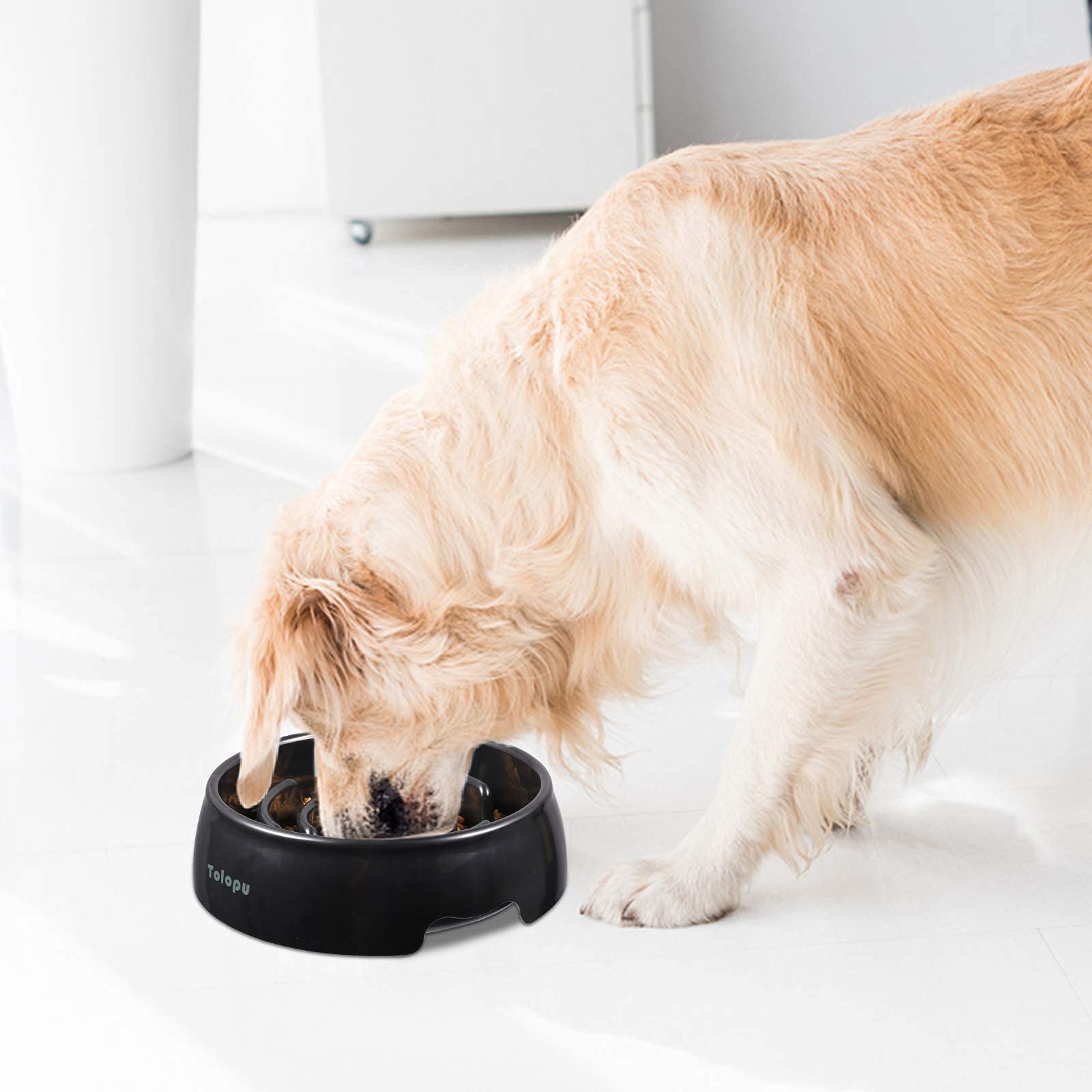Tolopu non-slip-base slow feeder keeps bowls stable during feeding