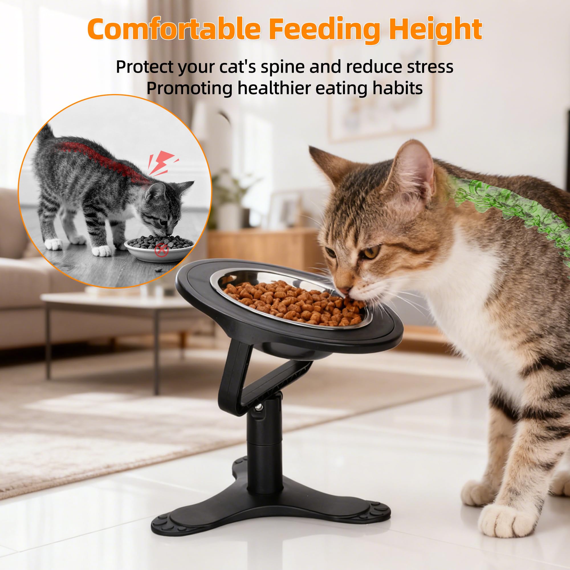 Tolopu 15-degree tilt bowls support ergonomic eating