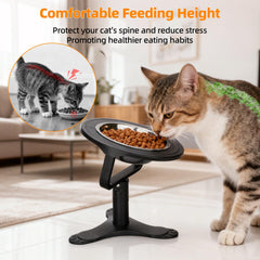 Tolopu 15-degree tilt bowls support ergonomic eating