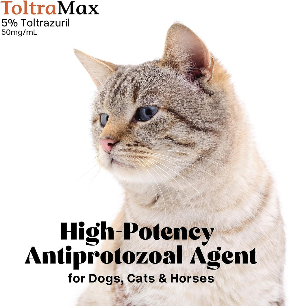 Family-friendly pet care moment using ToltraMax Toltrazuril.