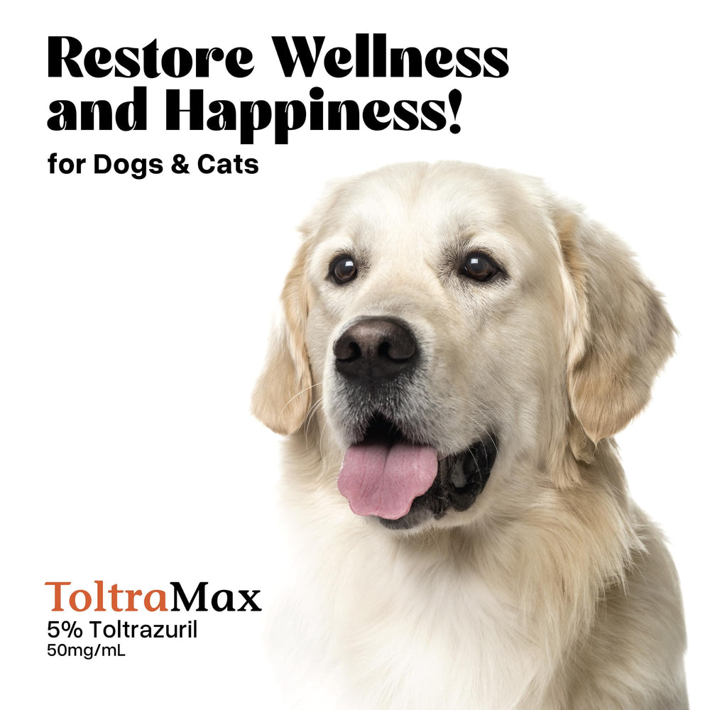 ToltraMax Toltrazuril for non-food chain animals like horses, dogs, and cats.