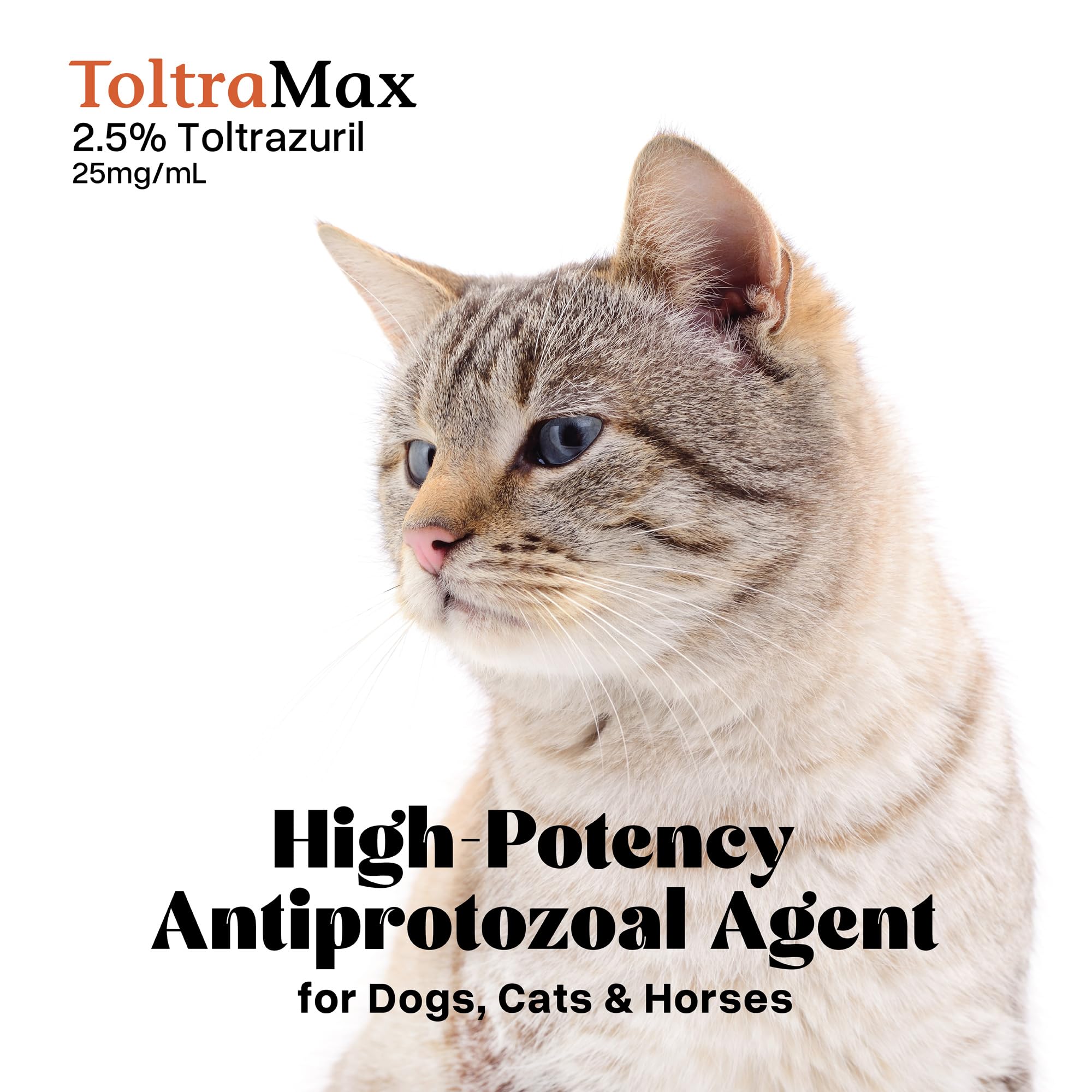 ToltraMax Toltrazuril non-food chain labeling visible.
