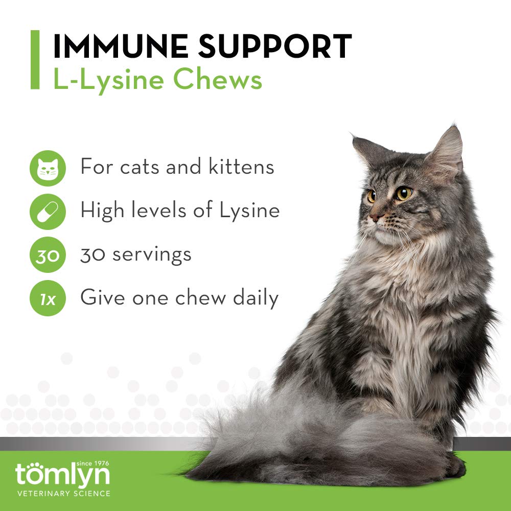 Tomlyn Immune Support cats nose and eyes health, close-up portrait