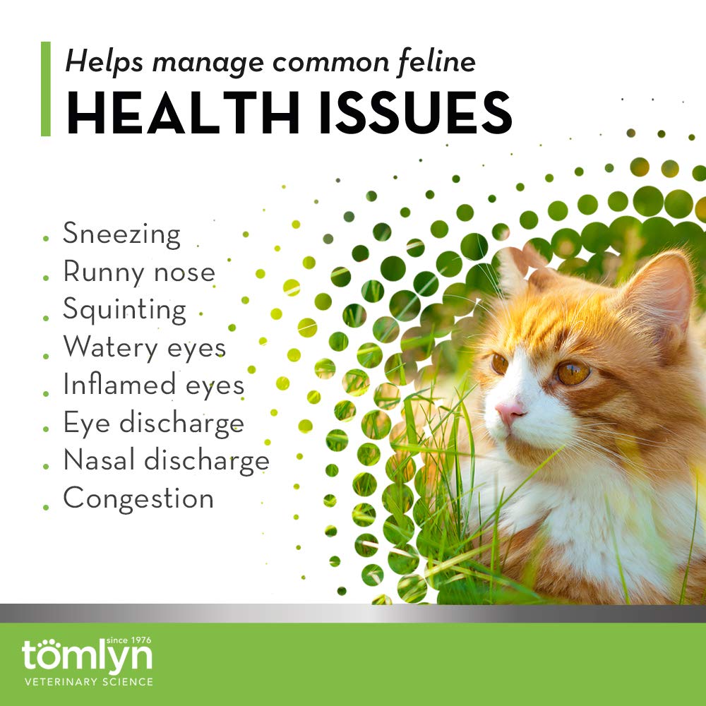Tomlyn lysine chews cats eating, easy dosing for travel and daily routines