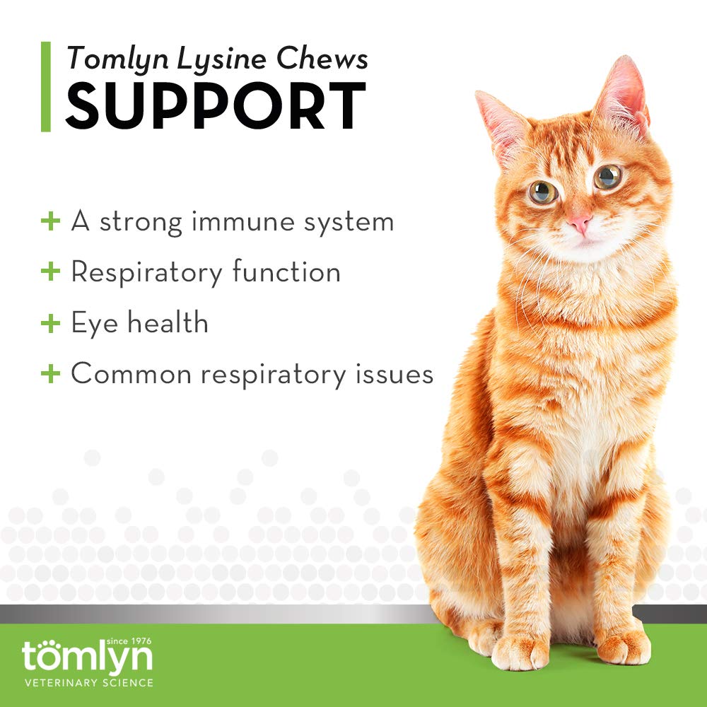 Tomlyn lysine chews fish-flavored package open, tasty daily supplement for kittens and cats
