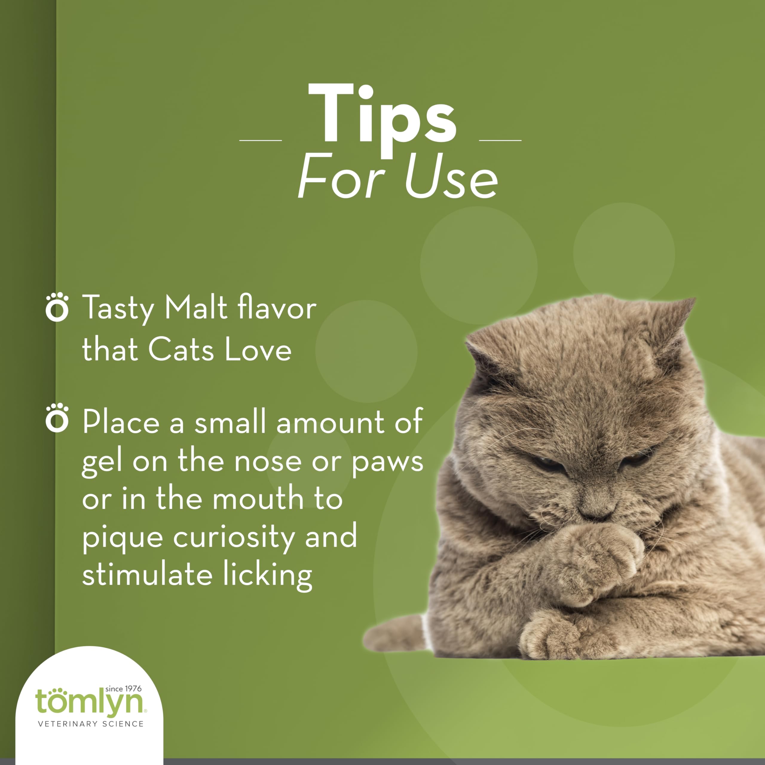 cat meal topped with tomlyn nutri-cal treat