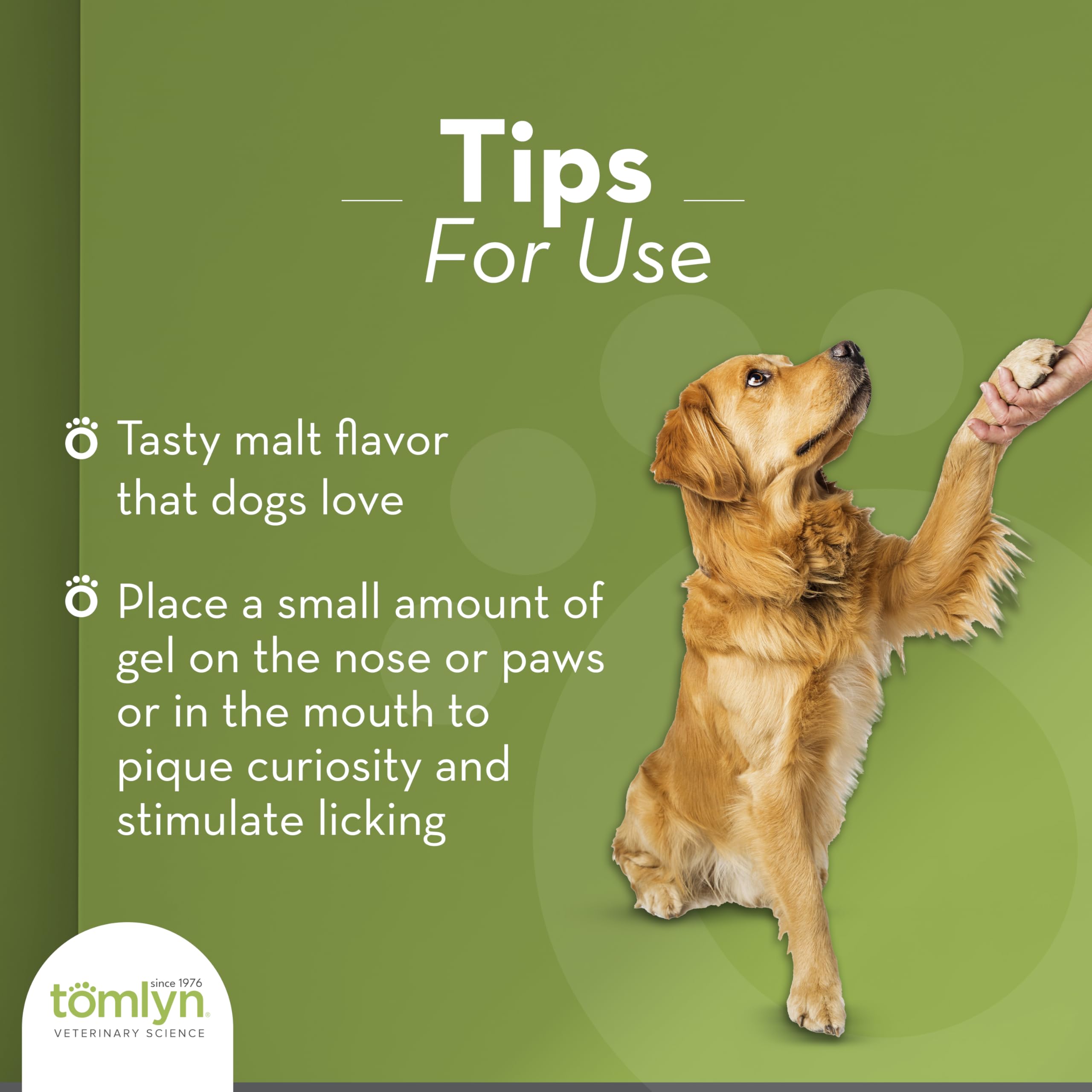 Working dog boosts energy with Nutri-Cal during activity