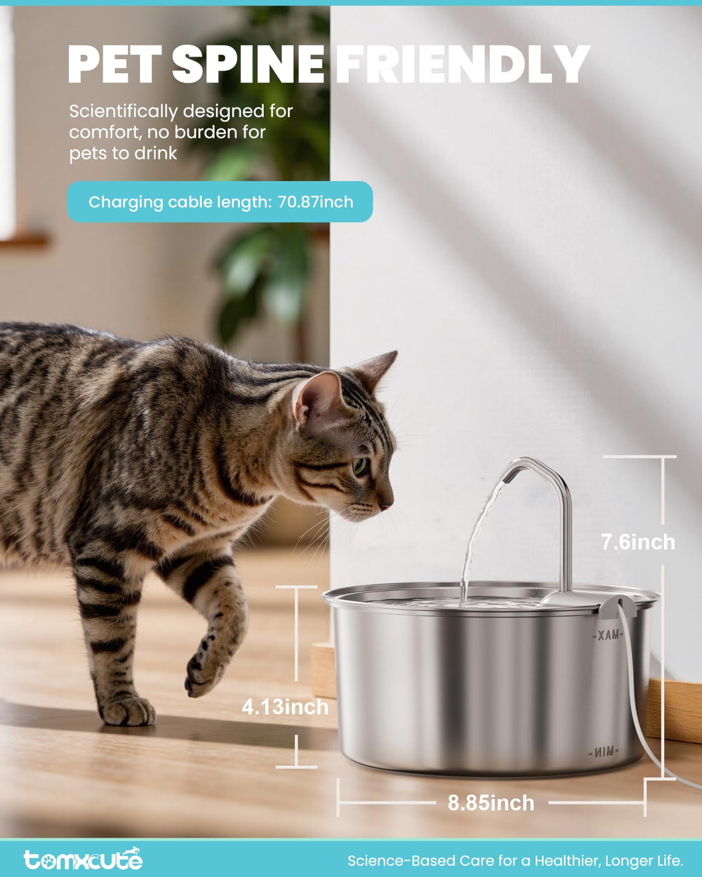 Tomxcute fountain easy-clean design with dishwasher-safe parts for quick maintenance