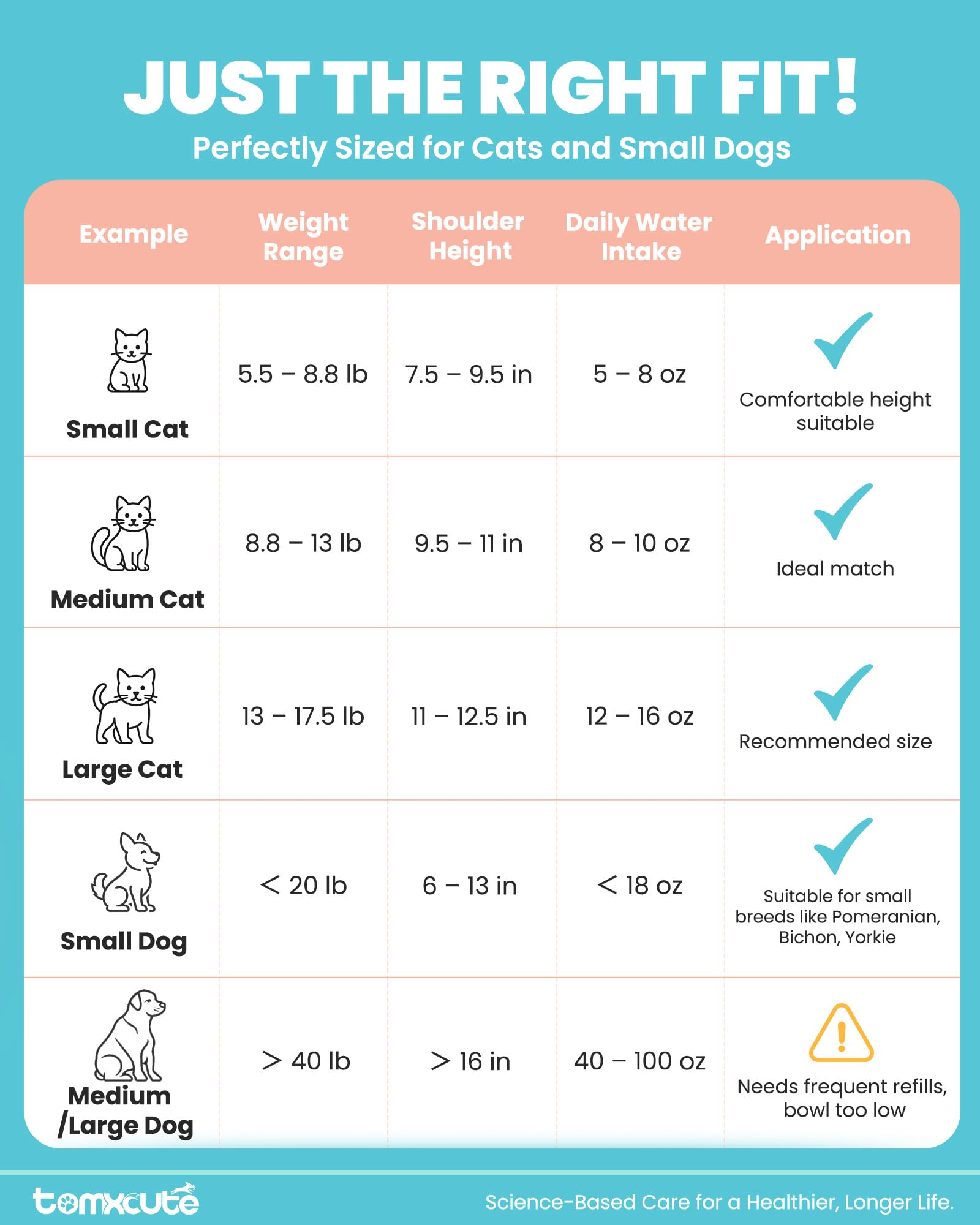 Tomxcute lifestyle pet care product promotes calm hydration habits