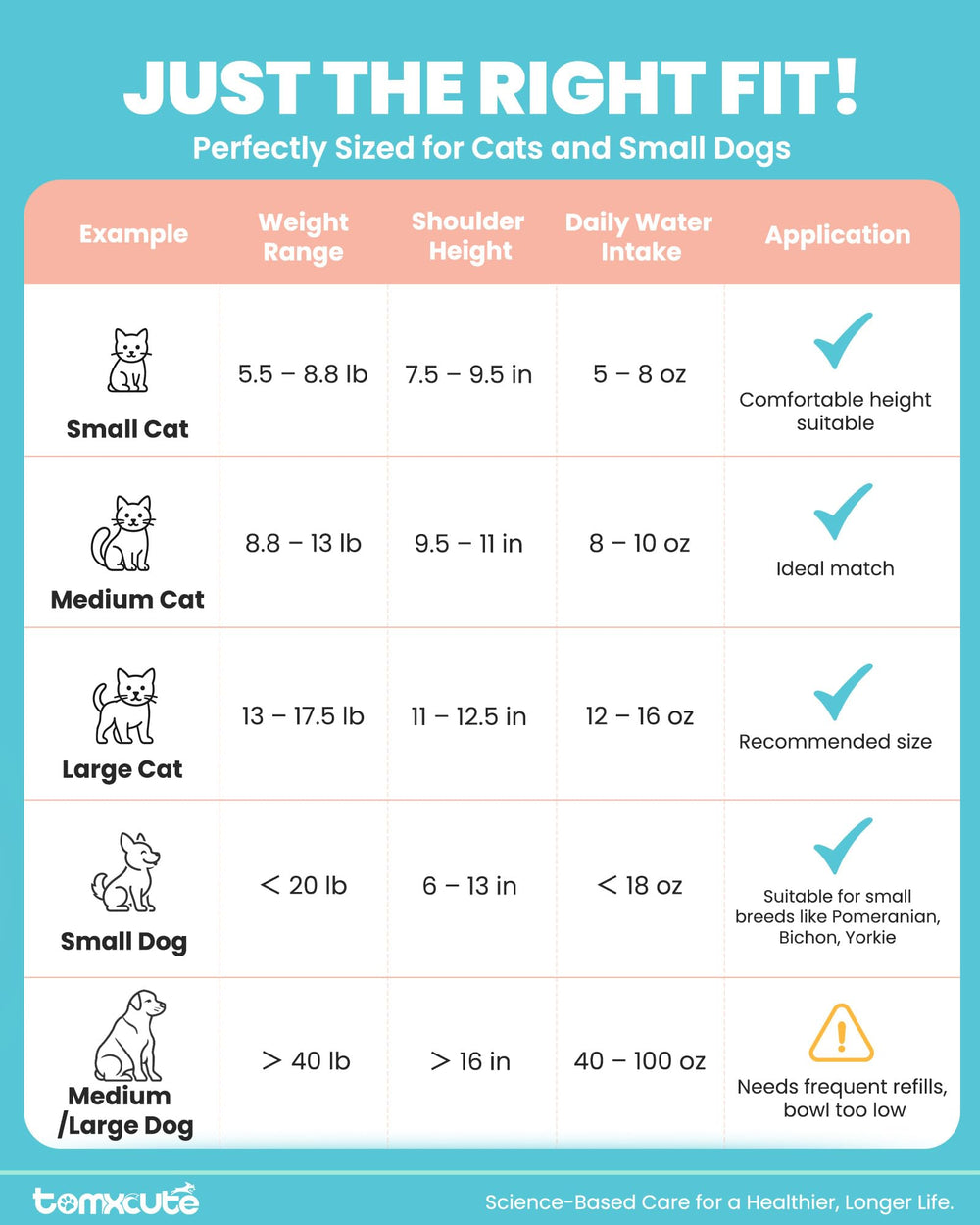 Tomxcute lifestyle pet care product promotes calm hydration habits
