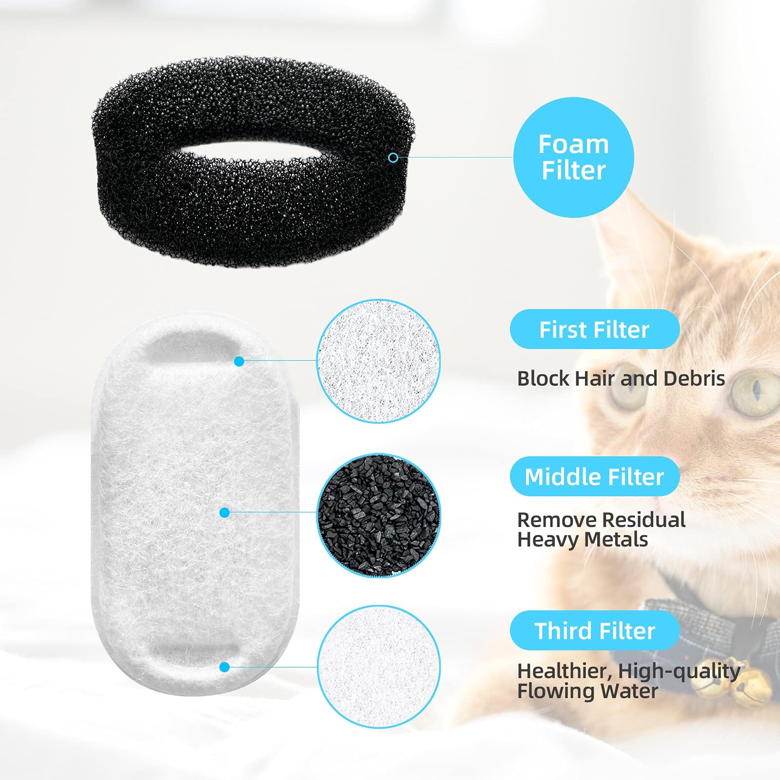 Tomxcute BE-0004 and PET-0004 compatibility noted on packaging