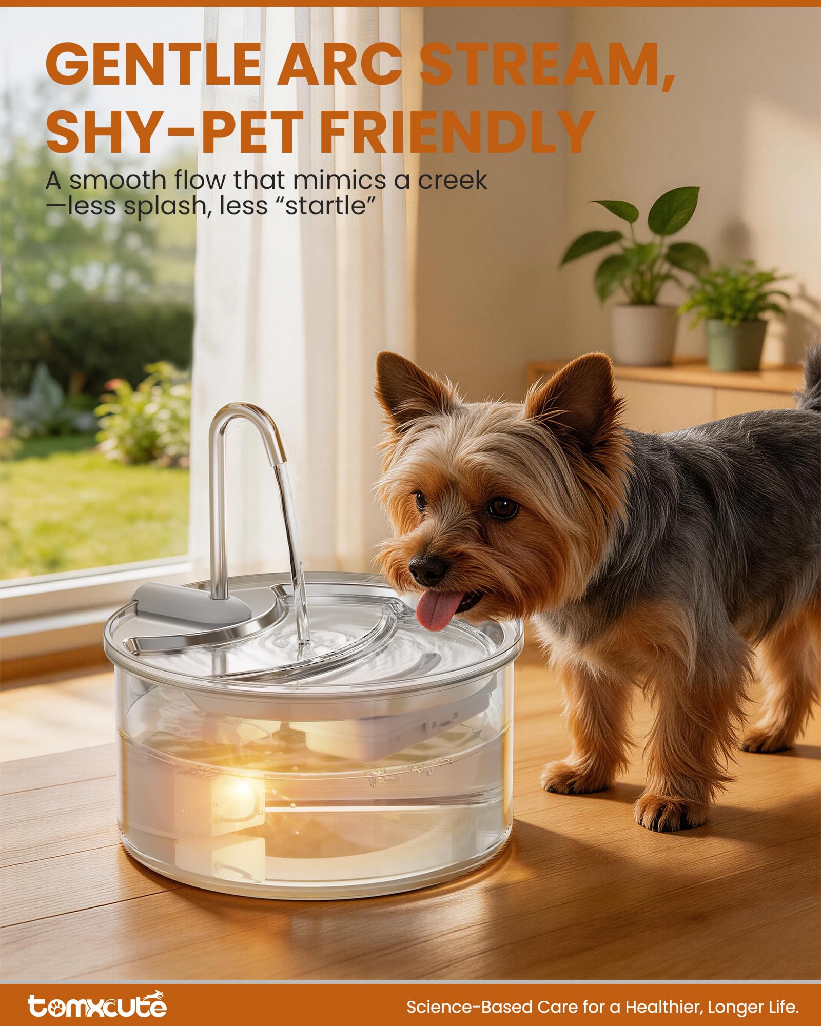 Hygienic borosilicate glass body of the Tomxcute fountain shows clean water at a glance