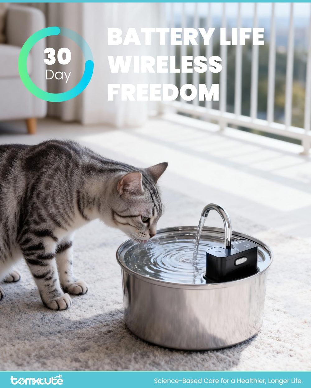 Tomxcute ultra-quiet pump delivers peaceful hydration for pets.