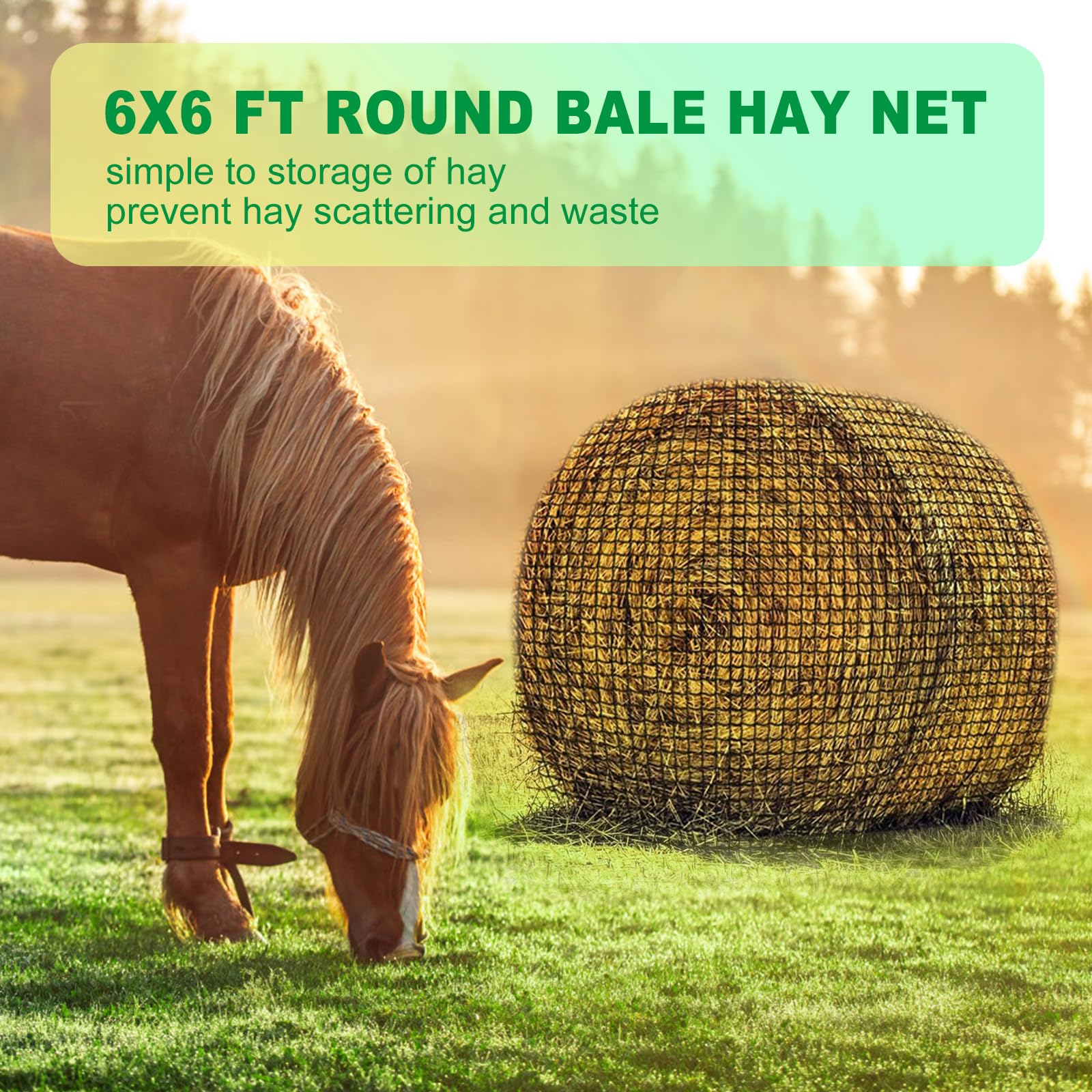 TONGMO horse-friendly feeding solution supports slower, calm meals.