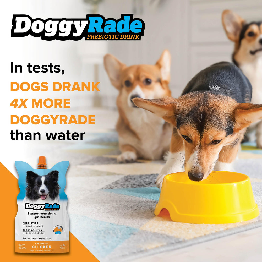 Tonisity DoggyRade nutrition panel highlights prebiotics and amino acids