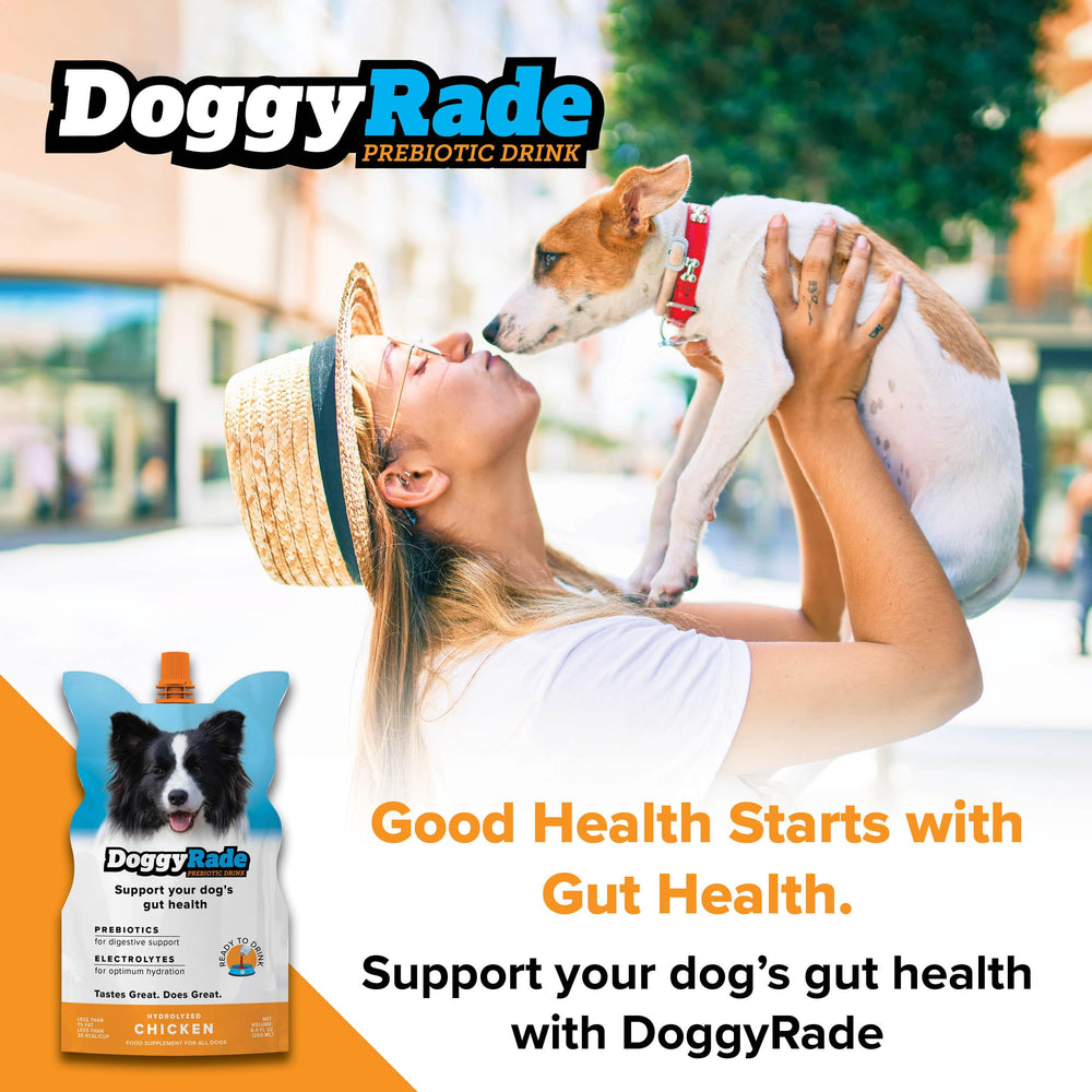 Tonisity DoggyRade ready to drink pouch on the go for quick hydration