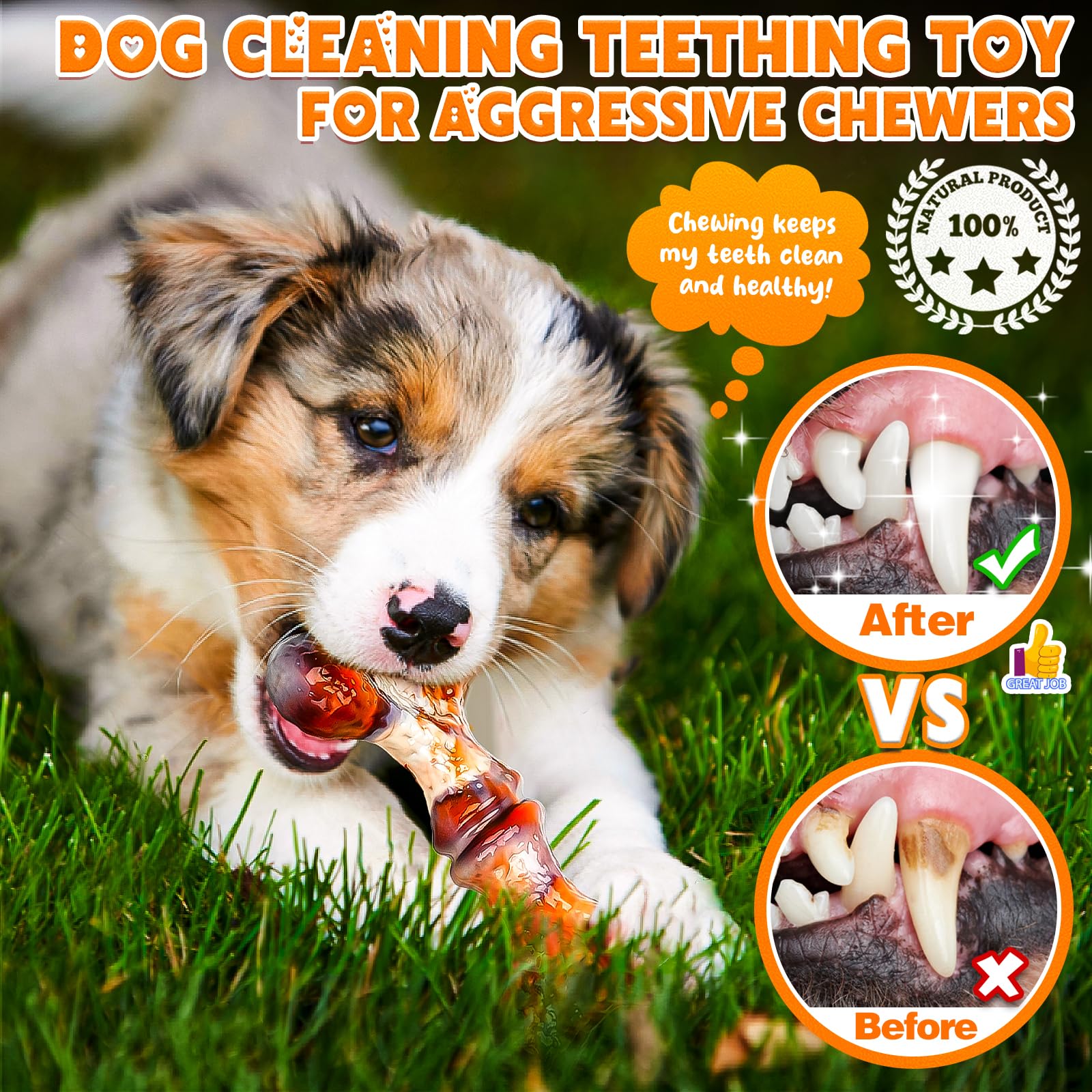 TonyEst safety-tested dog toy ensures secure materials and construction.