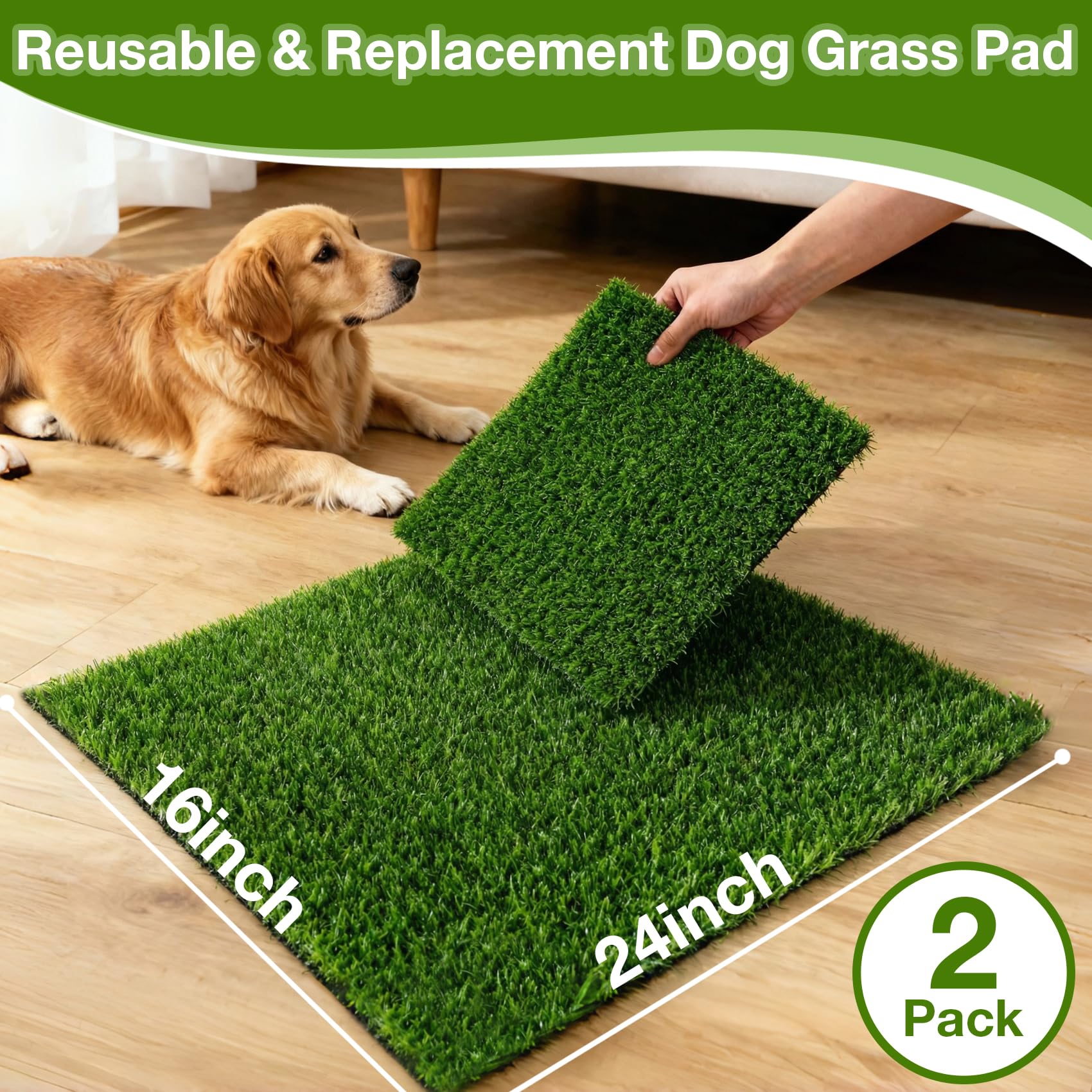 TOOKOO easy-clean multi-use turf for dogs, travel, and recovery scenarios.