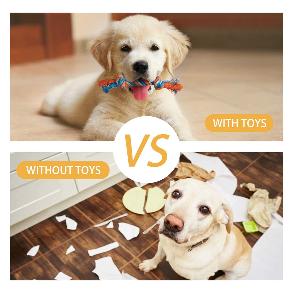 Toozey dental-health oriented chew toys support gum soothing and teeth-friendly chewing habit.