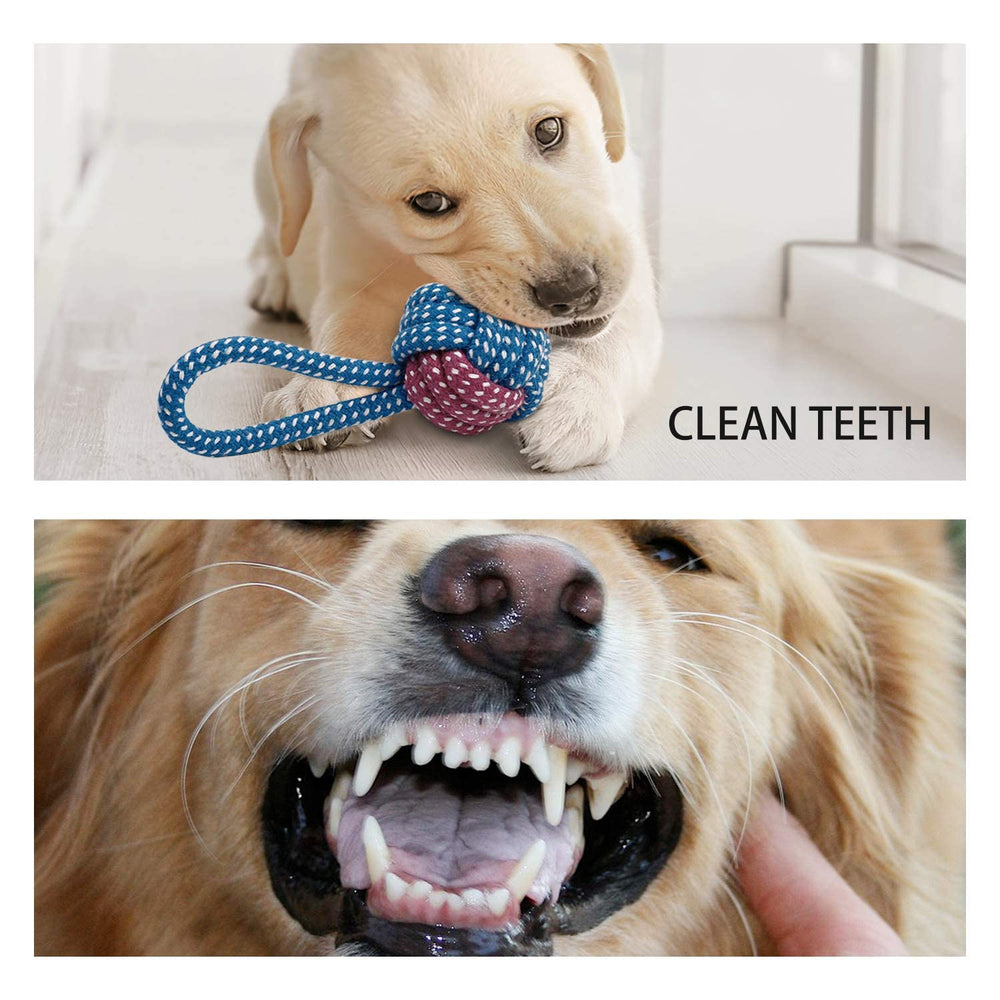 Toozey small dog design toys are colorful and appealing for interactive play.