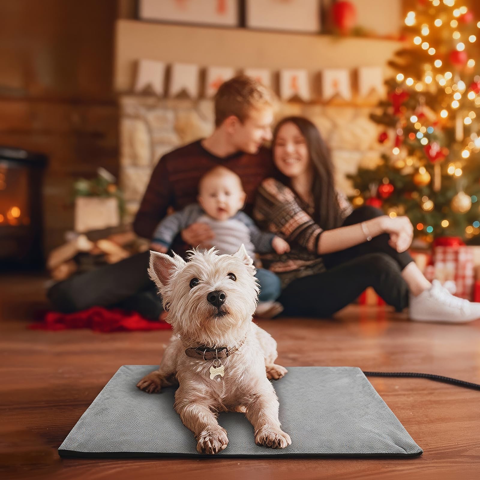 Toozey heating pad helps indoor pets settle into cozy downtime.