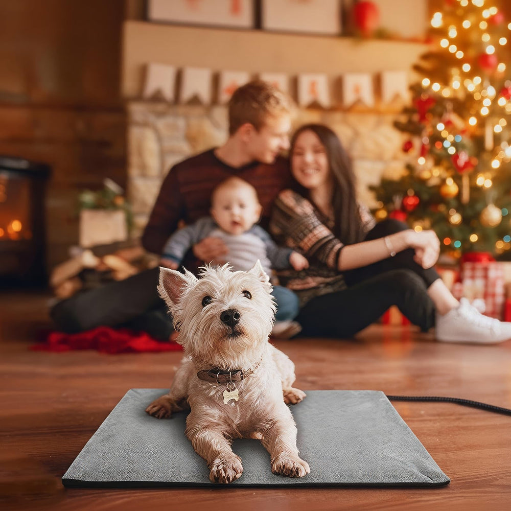 Toozey heating pad helps indoor pets settle into cozy downtime.