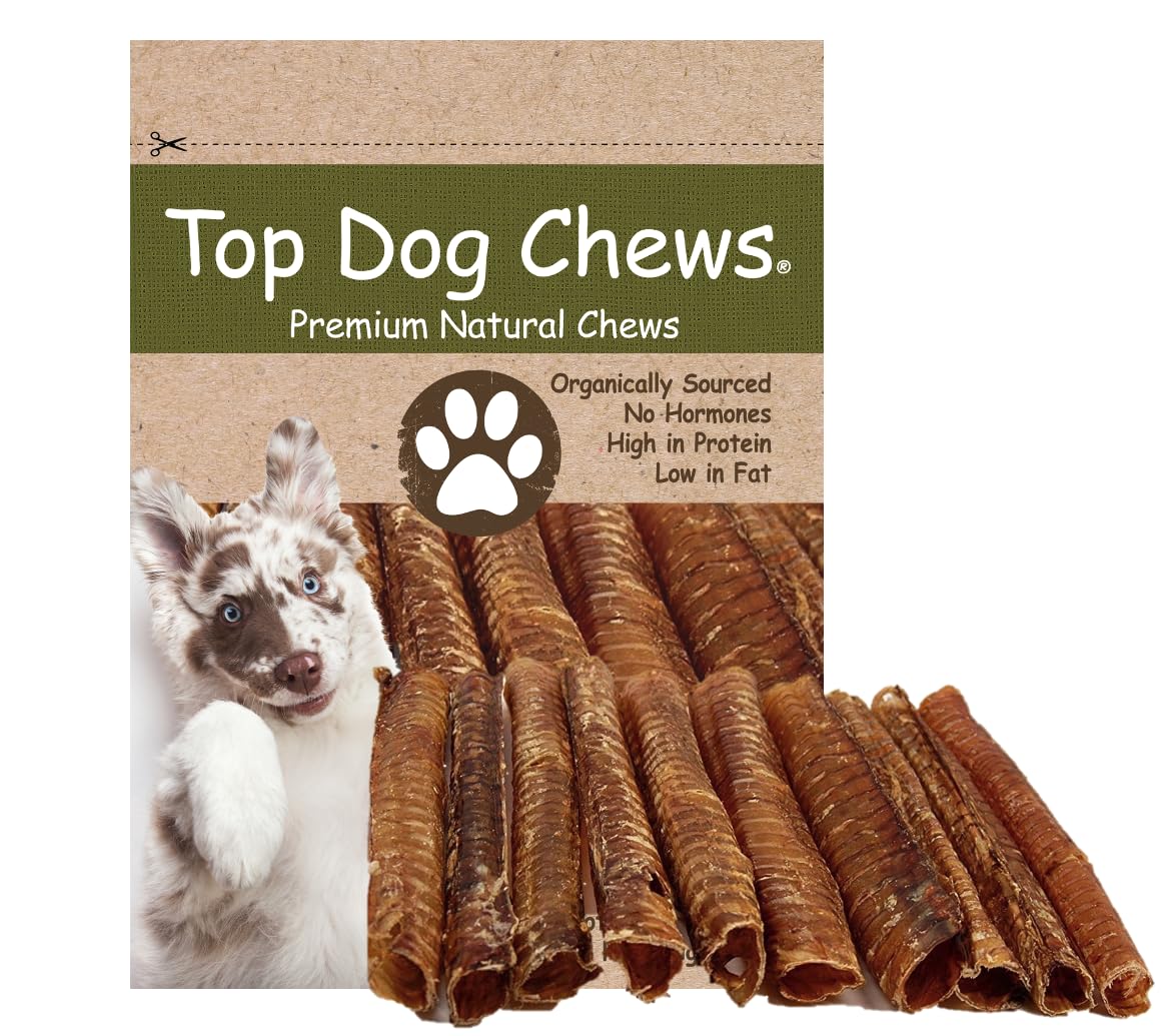 Top Dog Chews 12-inch roasted beef trachea for long lasting dental cleaning and joint support