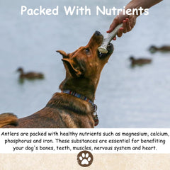 Top Dog Chews antler variety pack collection for strong chewers