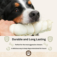 Top Dog Chews Beef Cheek Rolls provide a durable, digestible rawhide alternative.