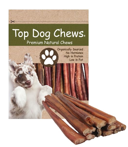 Top Dog Chews thick 12-inch bully stick for durable, long-lasting chewing