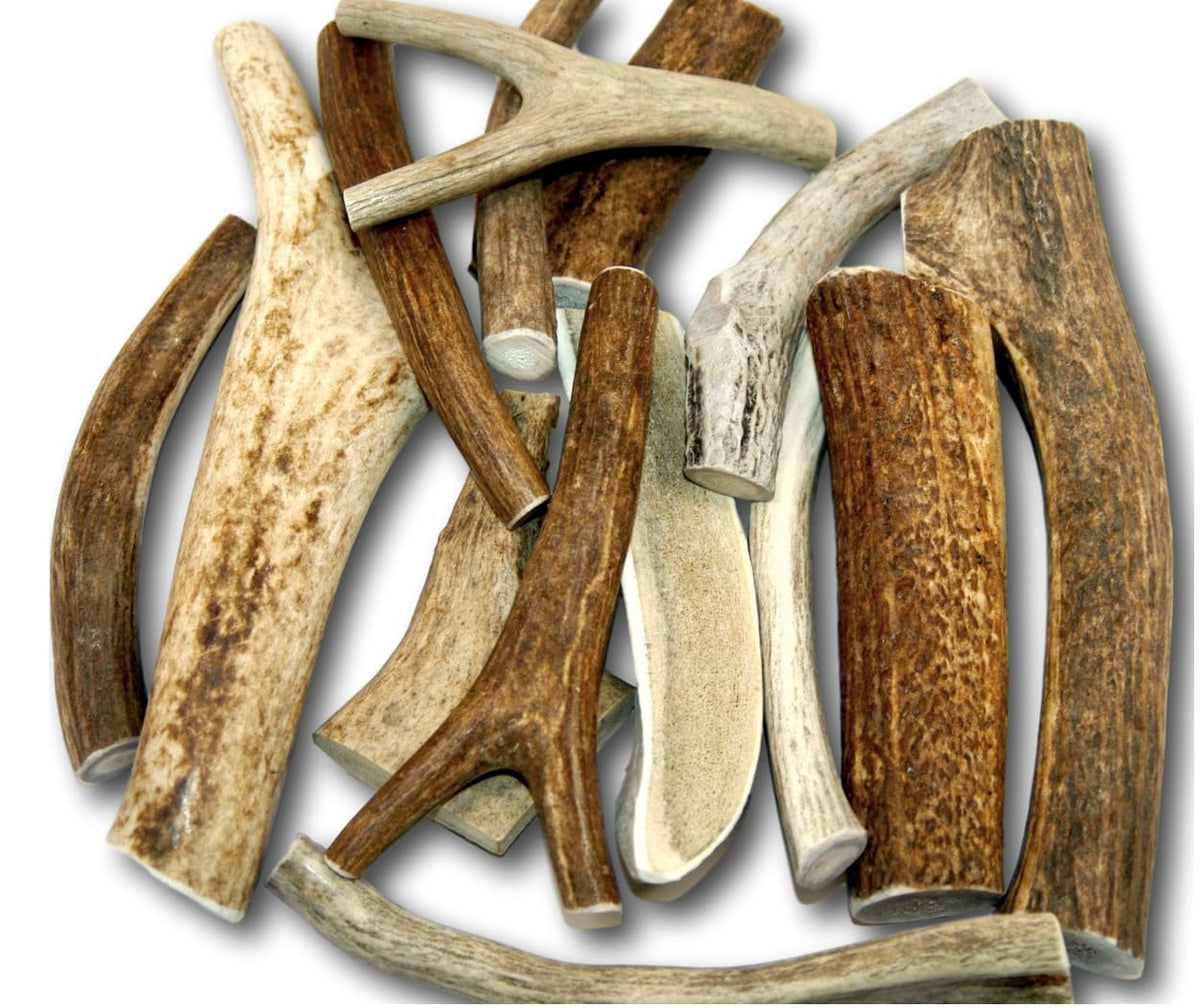 Top Dog Chews deer antler 1lb pack offers long-lasting entertainment for energetic dogs