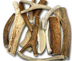 Top Dog Chews deer antler 1lb pack offers long-lasting entertainment for energetic dogs