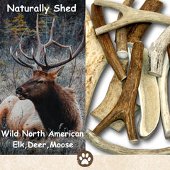 Top Dog Chews odorless deer antler helps keep home mess-free while satisfying chewers