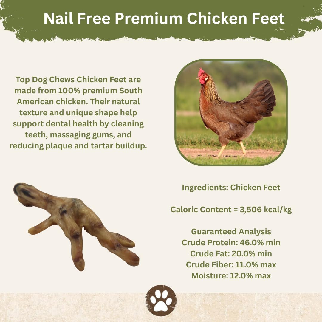 Top Dog Chews Dehydrated Chicken Feet texture close-up conveys protein-rich, digestible snacking.