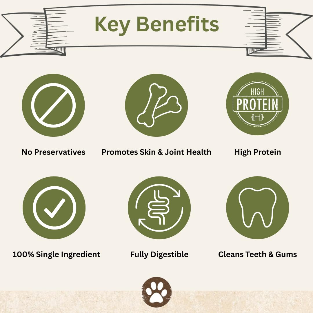 Top Dog Chews Dehydrated Chicken Feet nail-free processing demonstrates safe chewing for dogs.