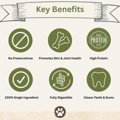 Top Dog Chews Dehydrated Chicken Feet nail-free processing demonstrates safe chewing for dogs.