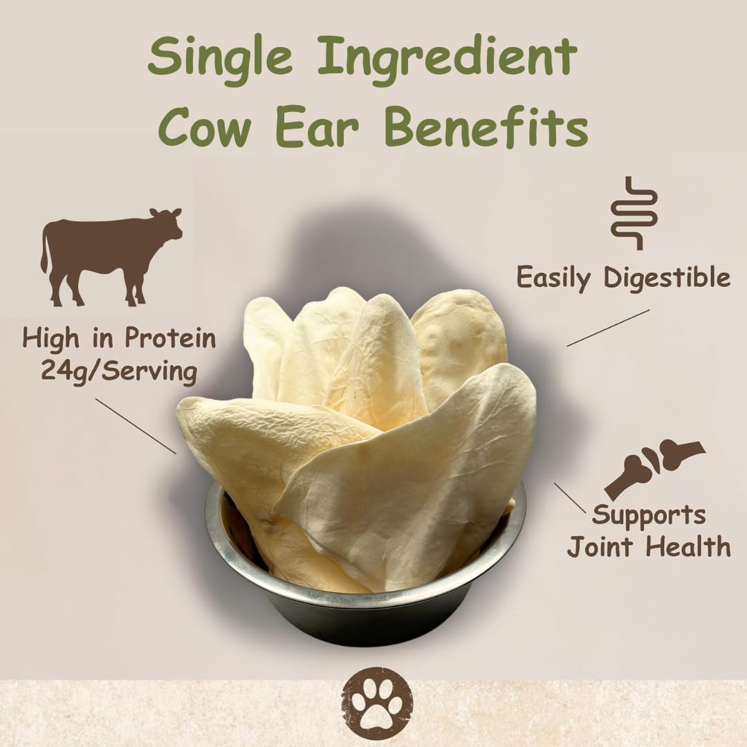 Top Dog Chews fully digestible rawhide alternative for dogs