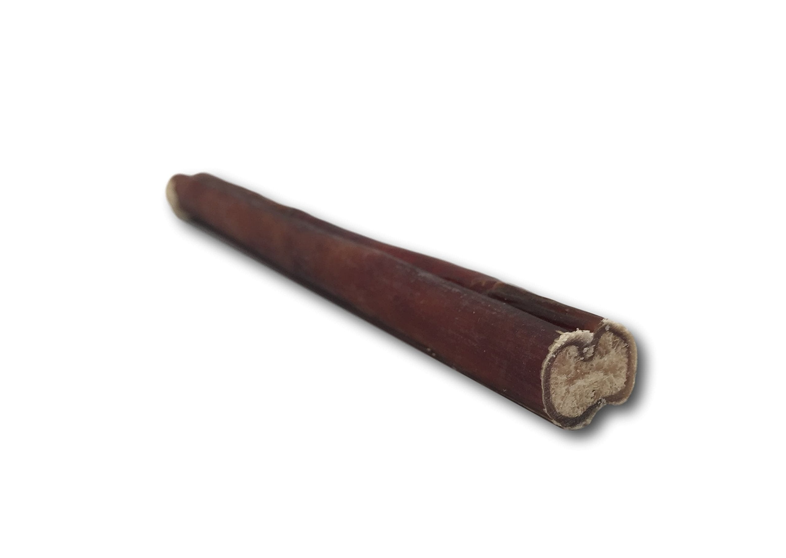 Top Dog Chews dog-chewing-session; engaging activity for dogs.