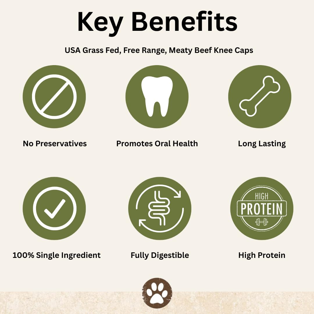 Top Dog Chews knee caps in action, ideal for aggressive chewers.