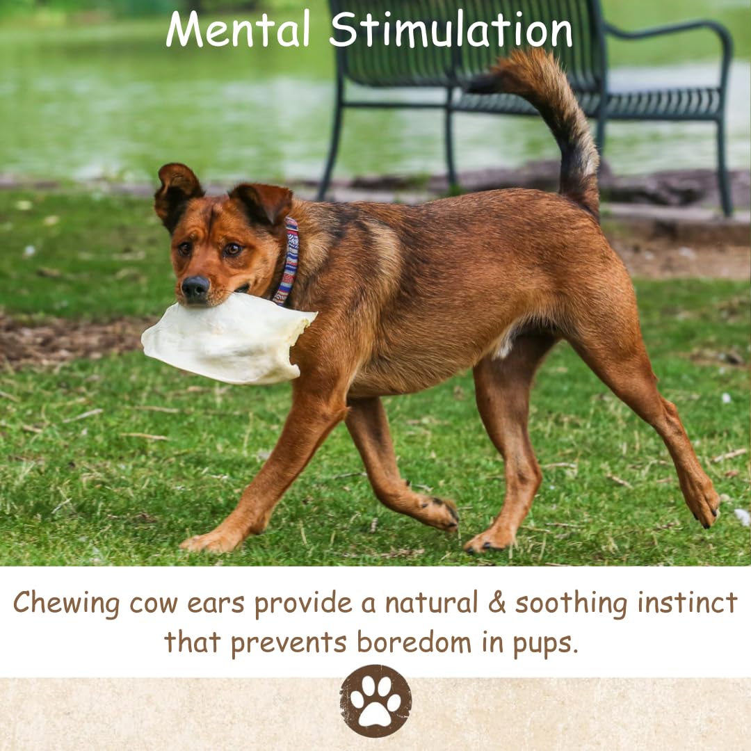 Top Dog Chews natural single ingredient dog chew