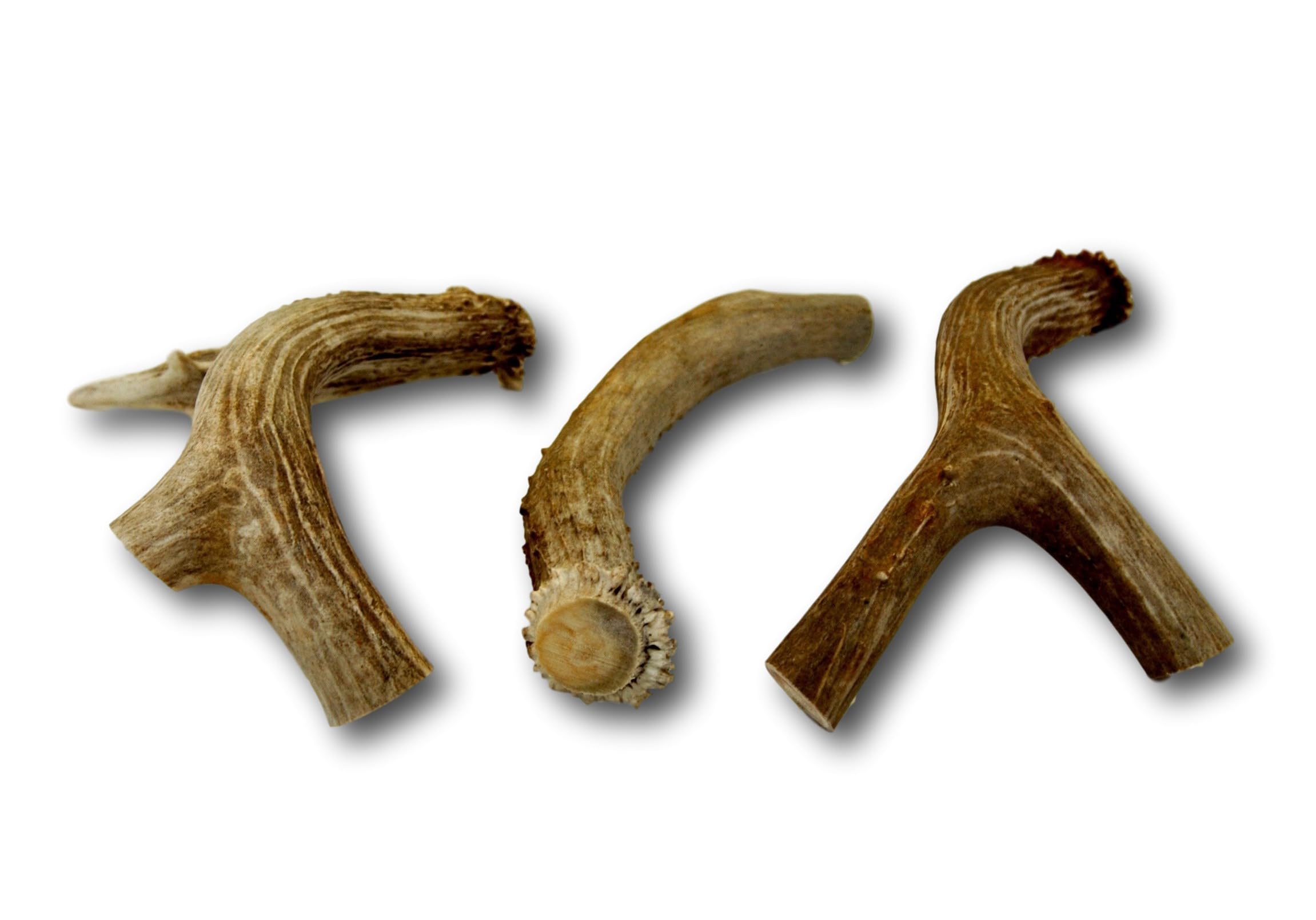 Top Dog Chews close-up of odorless antlers with natural texture