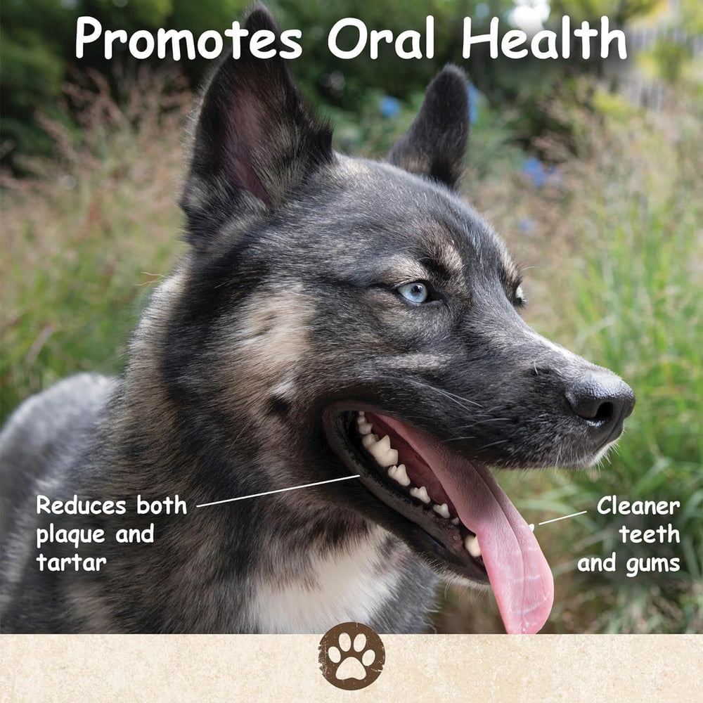 Top Dog Chews pig ears dental-time crunch texture
