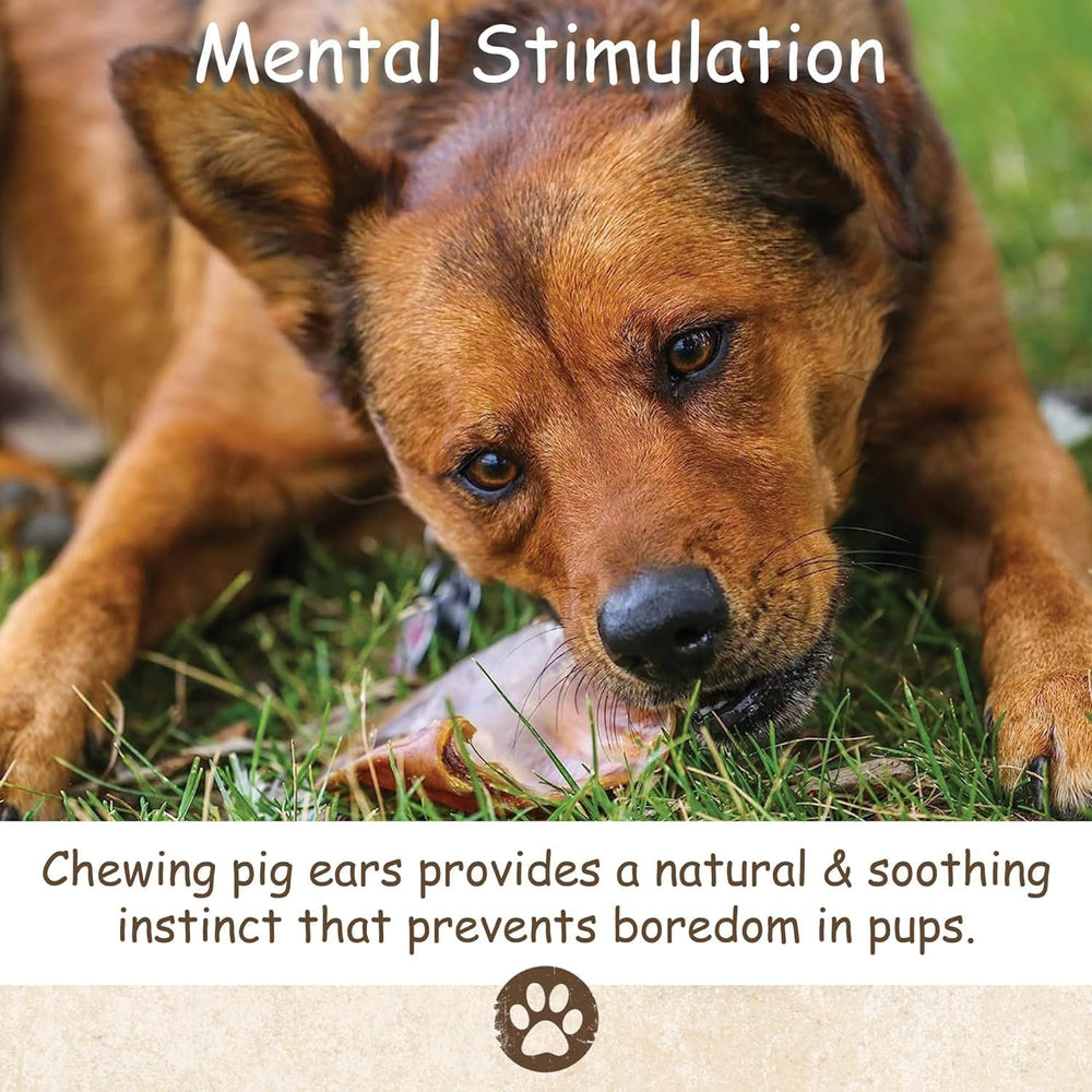 Top Dog Chews pig ears protein rich with omega fatty acids