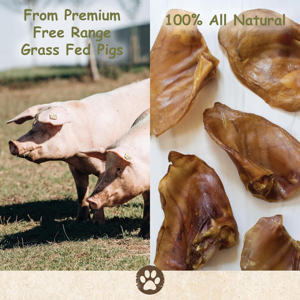 Top Dog Chews pig ears slow roasted naturally tasty for dogs