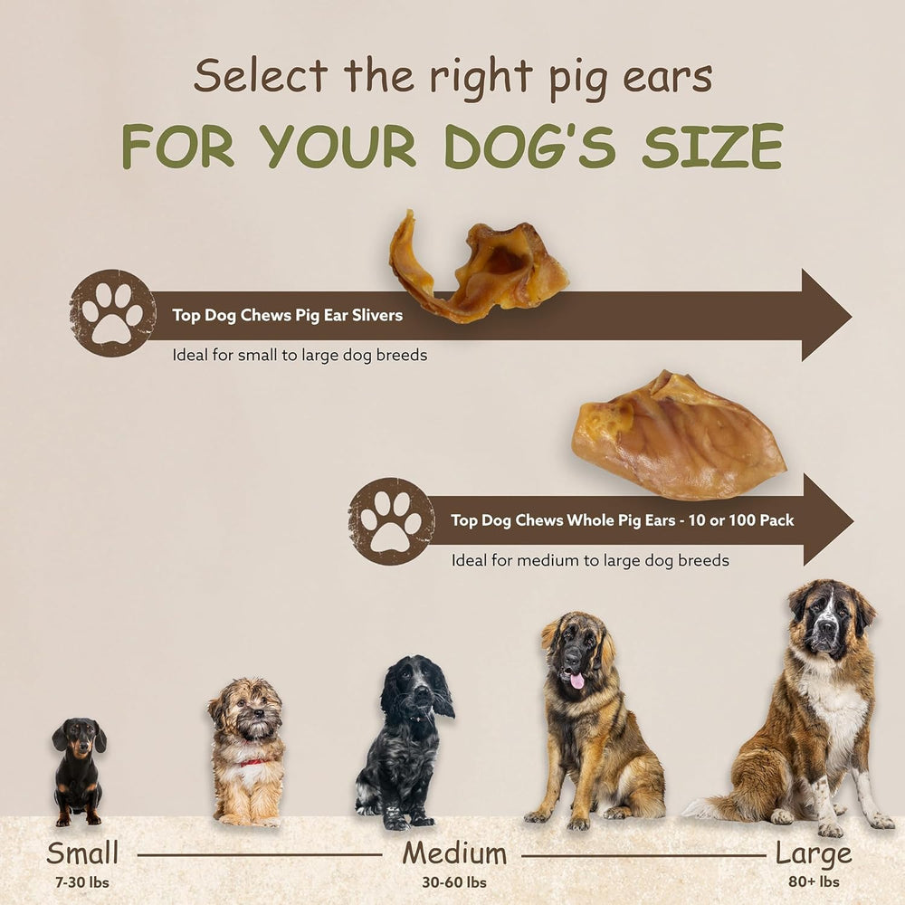 Top Dog Chews Pig Ears Thick Cut Pack thick cuts for lasting enjoyment