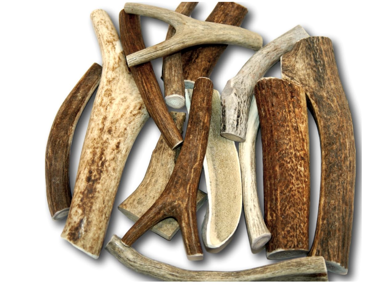 Top Dog Chews Premium Large Antler Variety Pack 6–9 inch antlers for durable chewing
